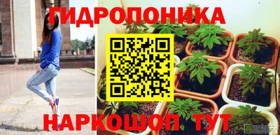 стафф Бийск