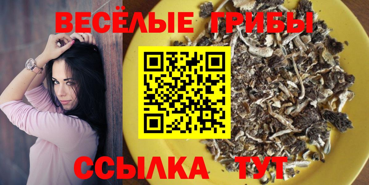 Псилоцибиновые грибы мицелий  Вход с VPN  Тверь 